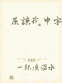 原谅我中字