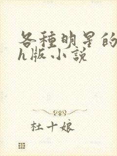 各种明星的综艺h版小说