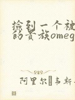 捡到一个被抹布的贵族omega