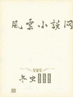 风云小说网