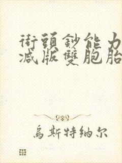 街头钞能力无删减版双胞胎