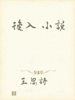 后入 小说