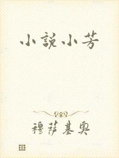 小说小芳