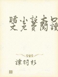 赌小说木口银全文免费阅读笔趣阁