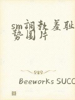 sm调教羞耻姿势图片