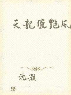 天龙猎艳风流