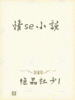 情se小说