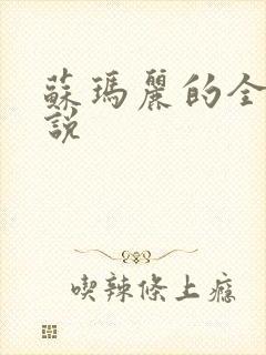 苏玛丽的全部小说