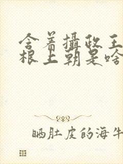 含着摄政王的紫根上朝是啥小说