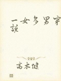 一女多男穿越小说