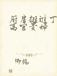 厨房挺进丁字裤高官贵妇