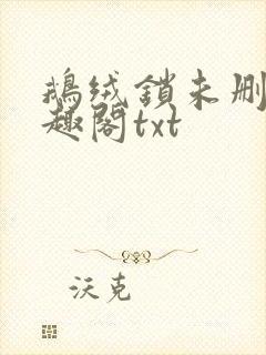 鹅绒锁未删除笔趣阁txt