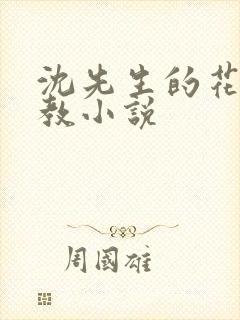 沈先生的花式调教小说