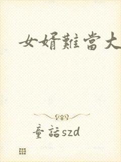 女婿难当大结局