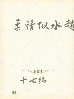 柔情似水赵雅儿