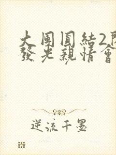 大团圆结2闪闪发光亲情会