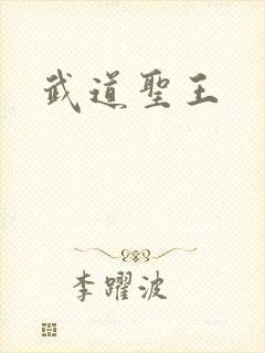 武道圣王