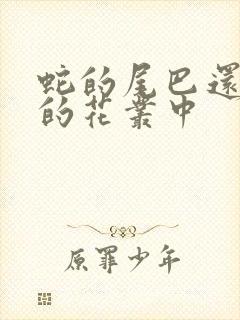 蛇的尾巴还在我的花丛中