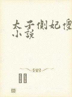 太子侧妃傻乎乎小说