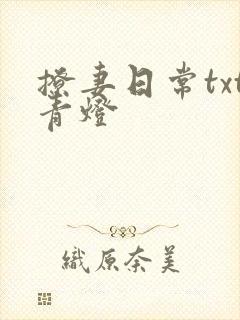 撩妻日常txt青灯