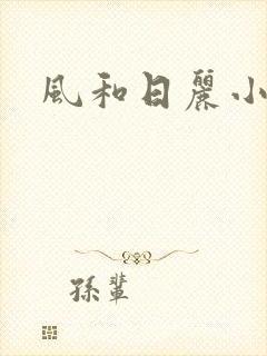 风和日丽小说