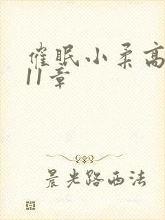 催眠小柔高达第11章