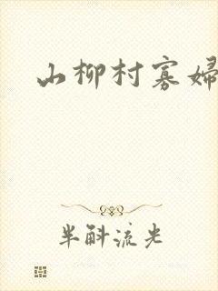山柳村寡妇情史