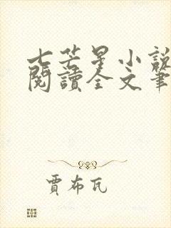 七芒星小说免费阅读全文笔趣阁