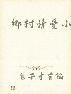 乡村情爱小说