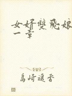 女婿双飞娘俩第一章