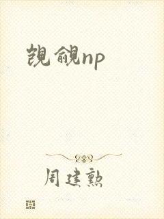 觊觎np