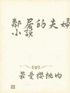 邻居的夫妇交换小说