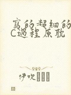 写的超细的多肉C过程原耽