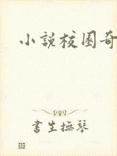 小说校园奇侠