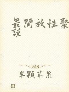 最开放性聚会小说