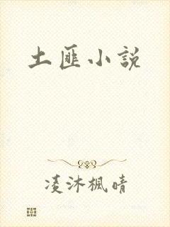 土匪小说