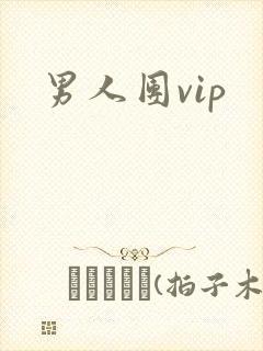 男人团vip