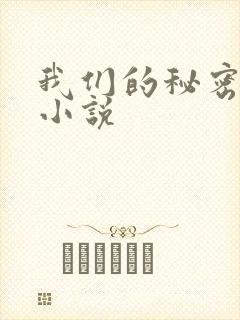 我们的秘密泰剧小说