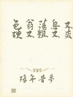 色翁荡息又大又硬又粗又爽