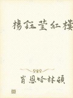 杨钰莹红楼