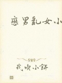 恋男乱女小说
