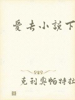 爱去小说下载网