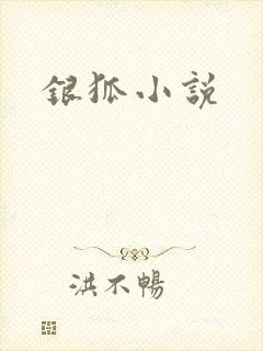 银狐小说