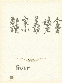 邻家美姨全文阅读小说免费