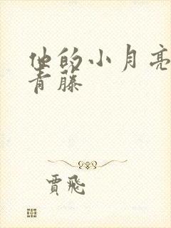 他的小月亮by青藤