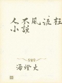 人不风流枉少年小说