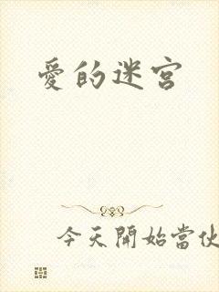 爱的迷宫