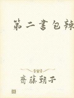 第二书包辣文