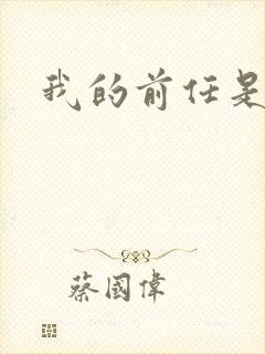 我的前任是极品