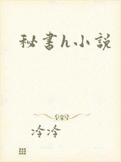 秘书h小说